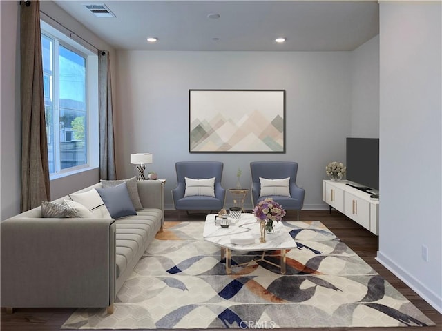 living room featuring wood-type flooring