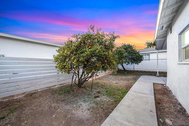 view of yard at dusk