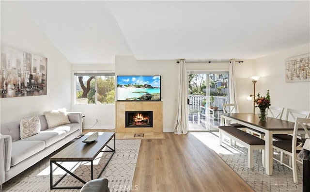 living room featuring a fireplace and light hardwood / wood-style floors