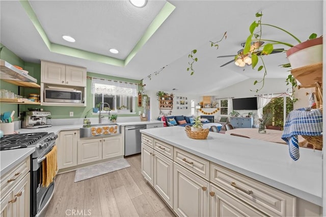 kitchen featuring light hardwood / wood-style floors, lofted ceiling, a tray ceiling, appliances with stainless steel finishes, and sink