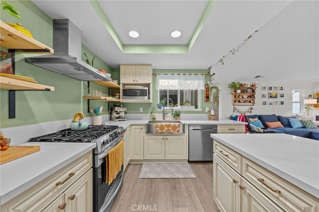 kitchen with stainless steel appliances, ventilation hood, a healthy amount of sunlight, a tray ceiling, and sink