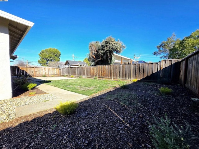 view of yard featuring a patio area