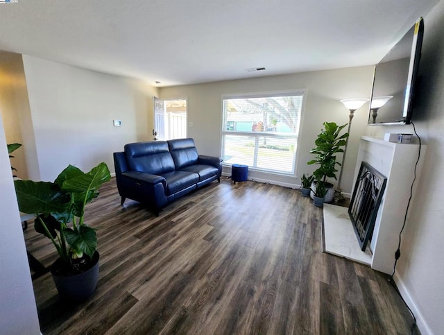 living room featuring dark wood-type flooring