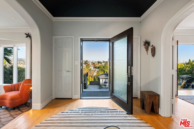 doorway with ornamental molding, light wood-type flooring, and plenty of natural light