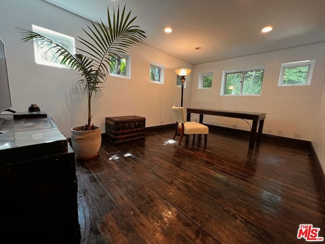 living area featuring dark wood-type flooring