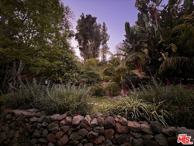 view of nature at dusk