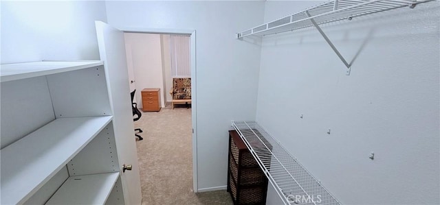 walk in closet featuring carpet