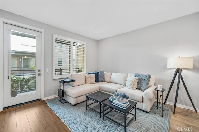 living room featuring hardwood / wood-style flooring