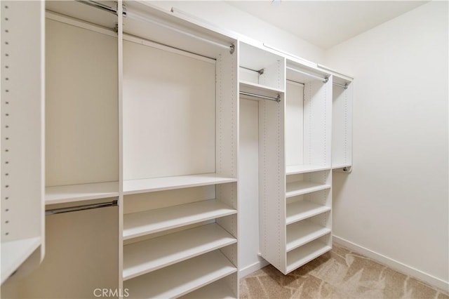 walk in closet featuring light colored carpet