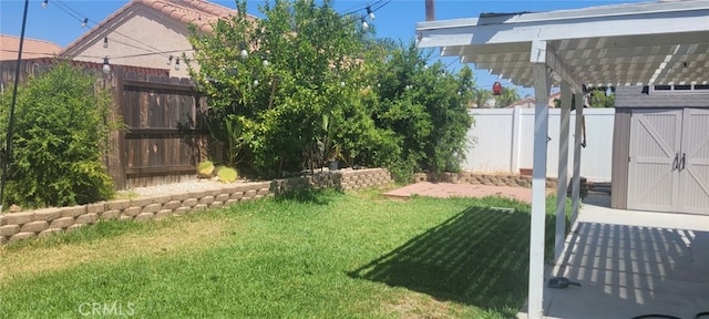 view of yard with a pergola and a storage shed