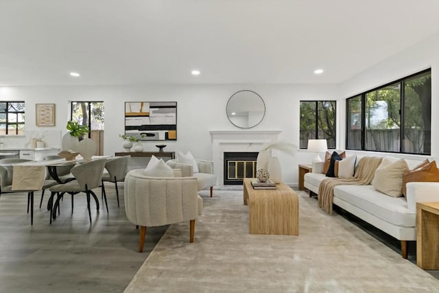 living room featuring hardwood / wood-style floors