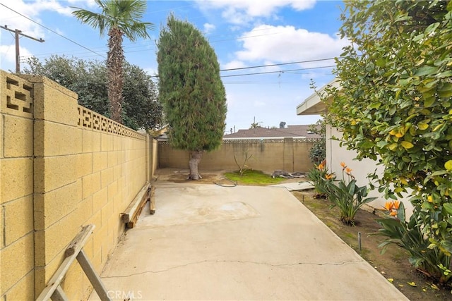 view of yard featuring a patio