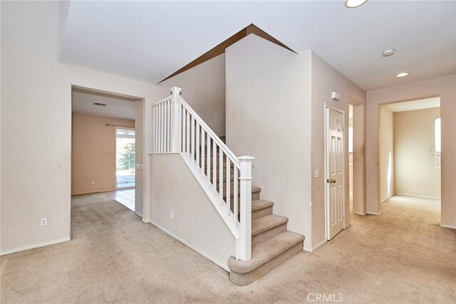 staircase with carpet flooring