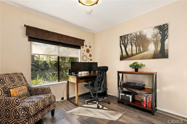 home office with hardwood / wood-style floors