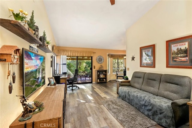 living room featuring hardwood / wood-style flooring