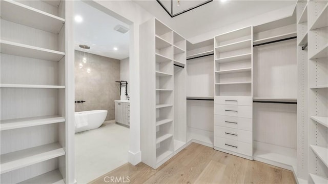 walk in closet featuring light hardwood / wood-style flooring