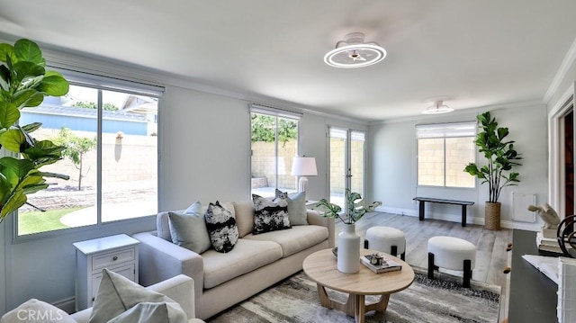 living room featuring hardwood / wood-style flooring and ornamental molding