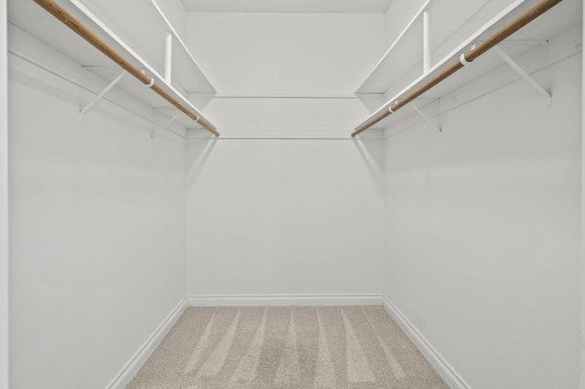 walk in closet with carpet floors