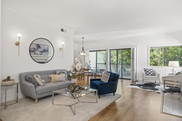 living room featuring hardwood / wood-style flooring and a healthy amount of sunlight