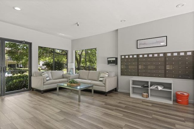 interior space with wood-type flooring and a mail area