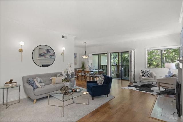 living room featuring hardwood / wood-style flooring