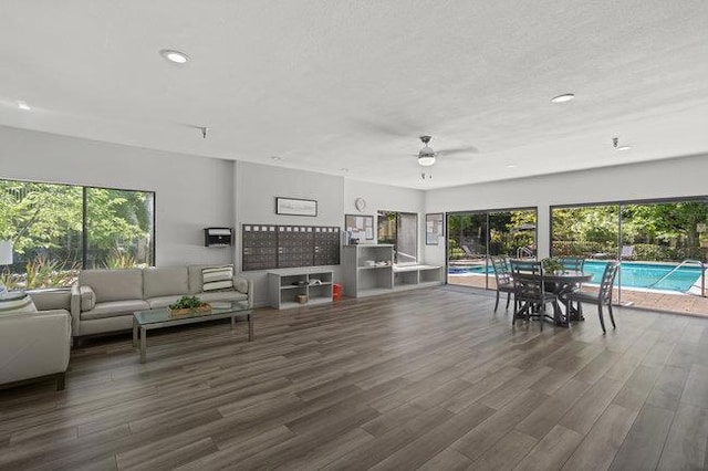 living room featuring ceiling fan and dark hardwood / wood-style floors