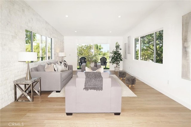 living room with light hardwood / wood-style floors and plenty of natural light