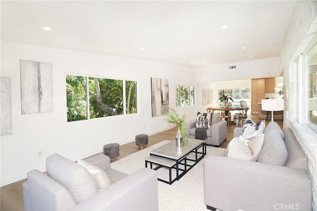 living room featuring light hardwood / wood-style floors