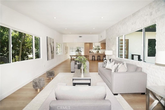 living room with light wood-type flooring