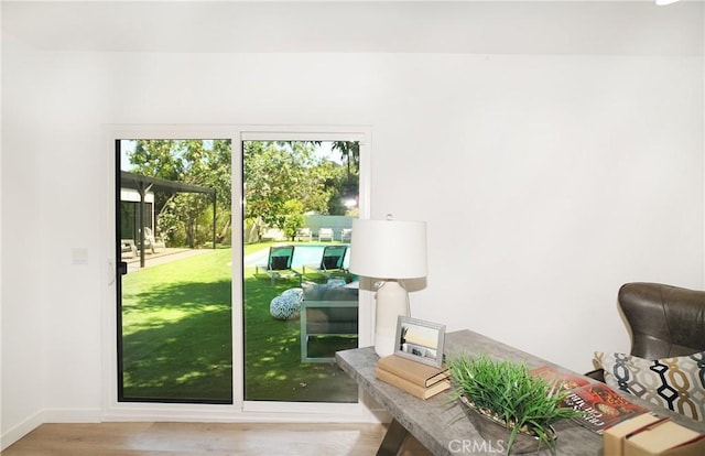 doorway to outside featuring hardwood / wood-style floors