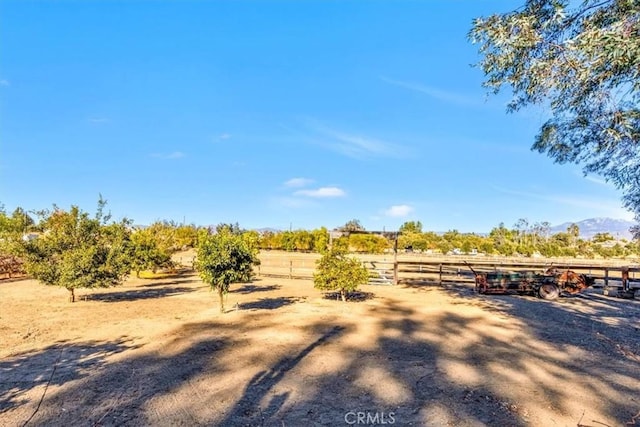 view of yard featuring a rural view