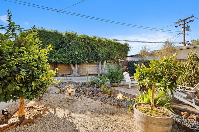 view of yard featuring a patio