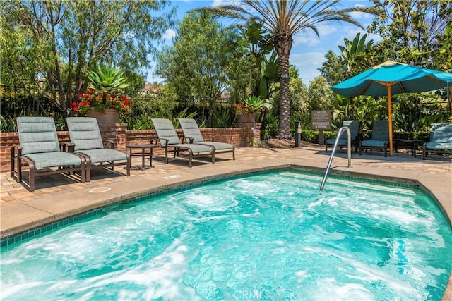 view of pool with a patio