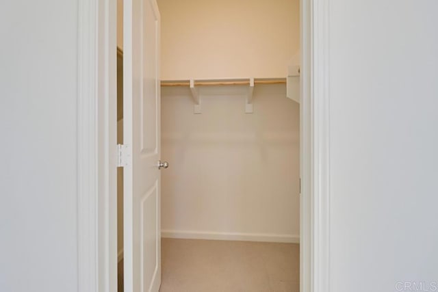 spacious closet with carpet