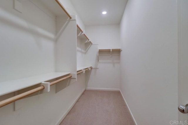 walk in closet with light carpet