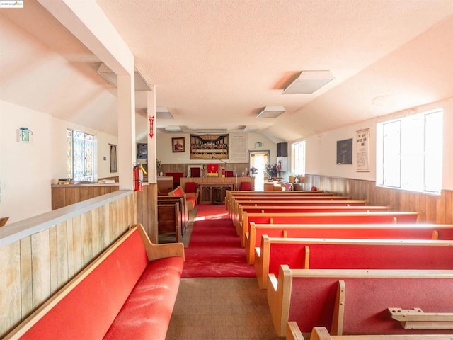 miscellaneous room with lofted ceiling and a wealth of natural light