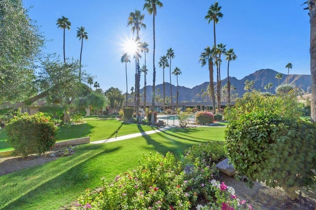 view of property's community with a mountain view and a yard