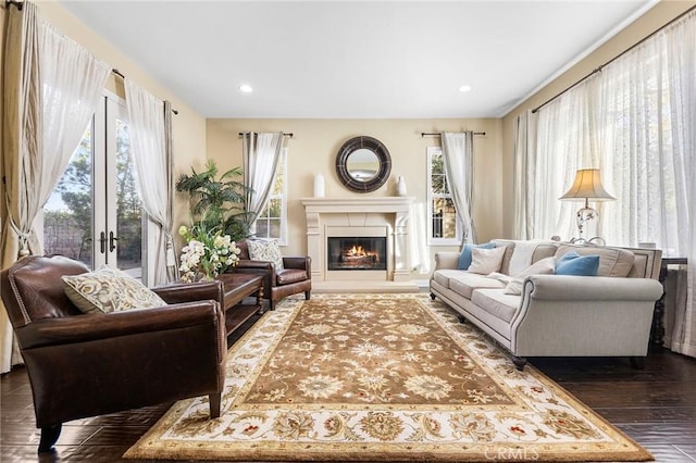 living room featuring french doors and dark wood-type flooring