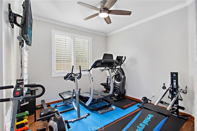 exercise area featuring hardwood / wood-style flooring, ornamental molding, and ceiling fan