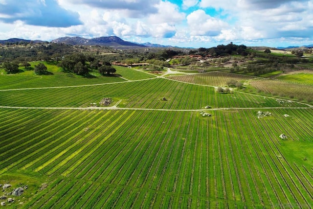 birds eye view of property featuring a mountain view