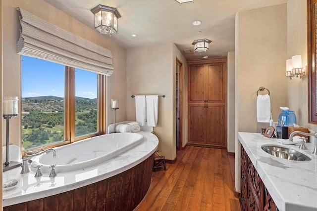 bathroom featuring hardwood / wood-style floors, a washtub, and vanity