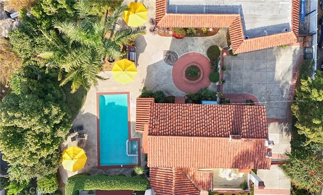 bird's eye view