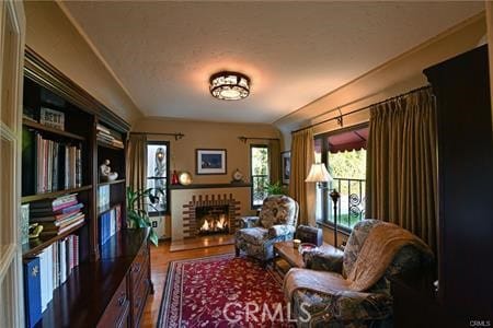 living area featuring a fireplace