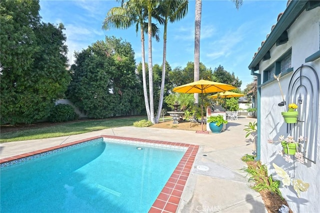 view of pool featuring a patio