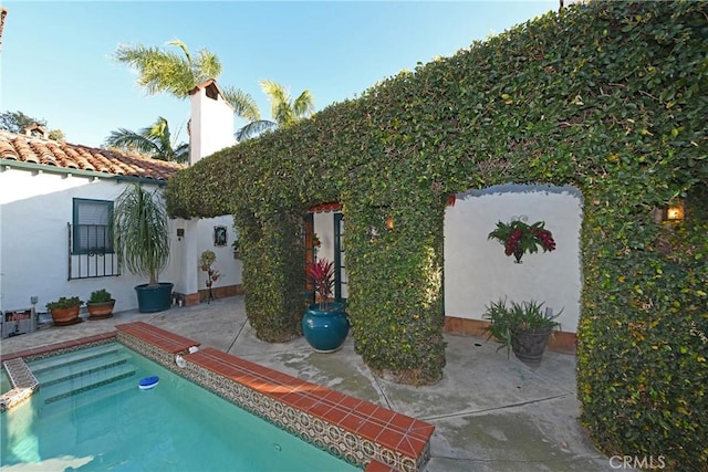 rear view of property with a patio, stucco siding, and a fenced in pool