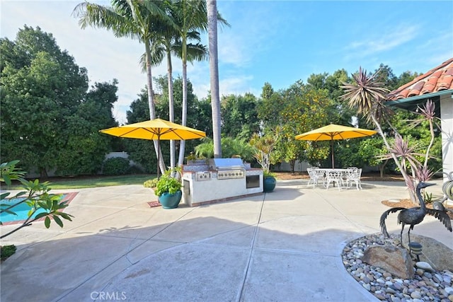 view of community with an outdoor kitchen and a patio