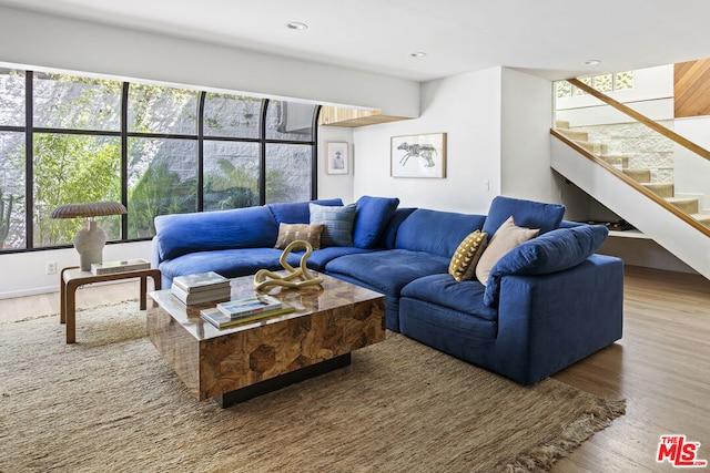 living room featuring hardwood / wood-style flooring