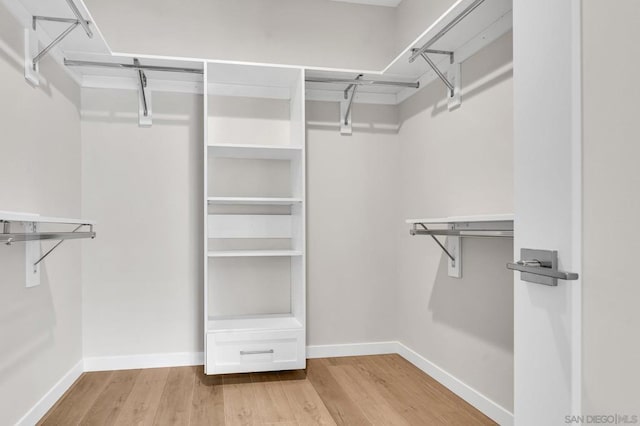 walk in closet with light wood-type flooring