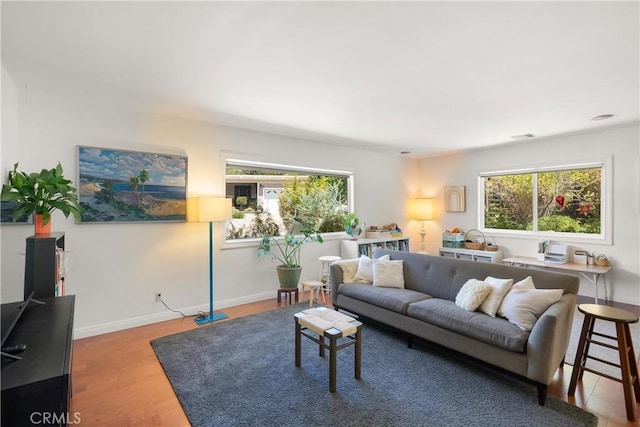 living room featuring wood-type flooring