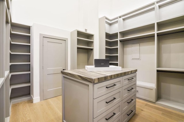 spacious closet featuring light hardwood / wood-style flooring